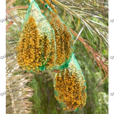 デイトプラムメッシュバッグ